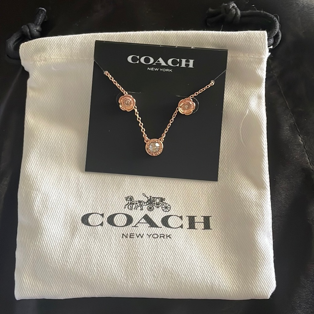 Rose gold Coach earrings/necklace